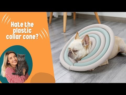 Doglemi Pet Recovery Collar from Lilly & Max Pet