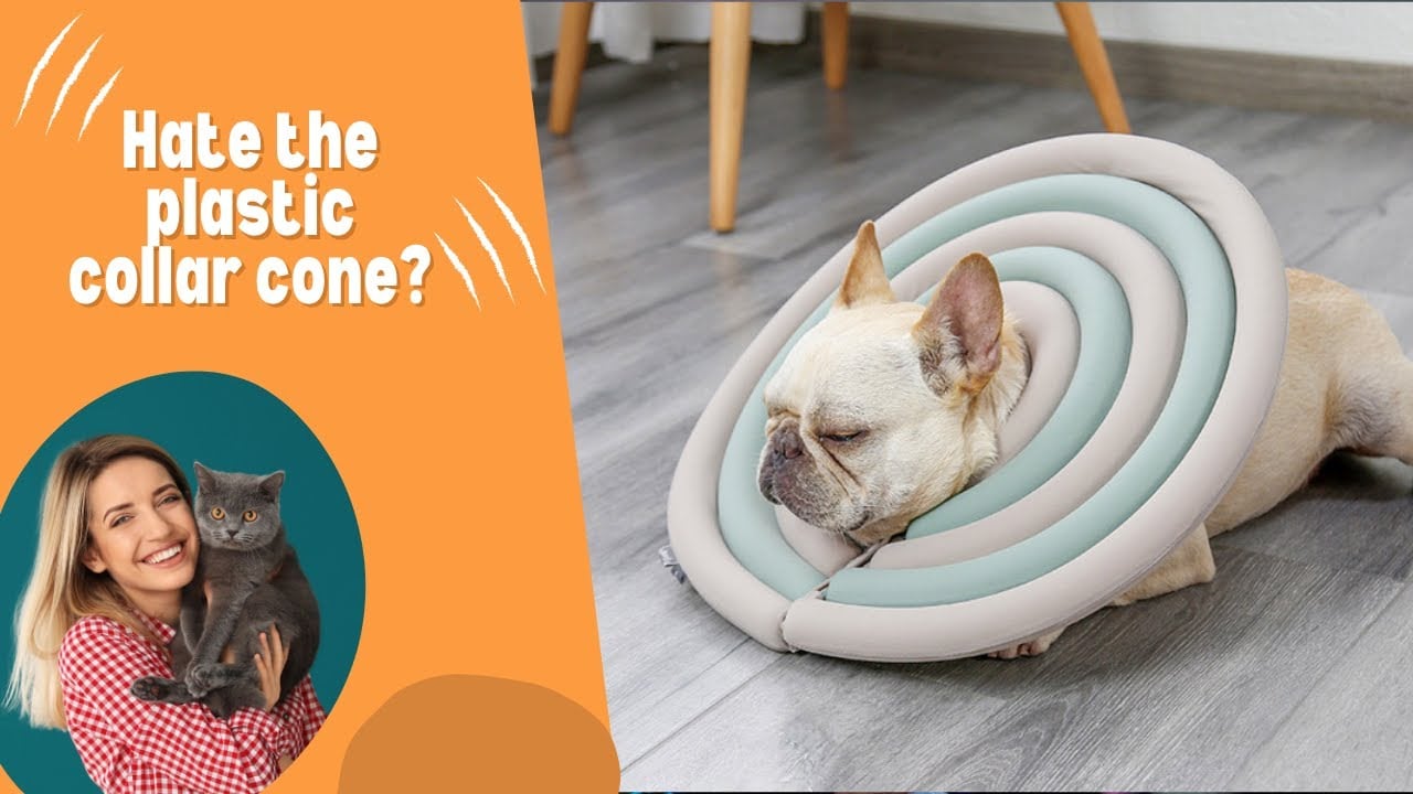 Doglemi Pet Recovery Collar from Lilly & Max Pet