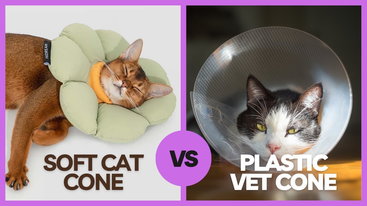 HiDream Cat Cone: Soft & Comfortable Alternative to Plastic Vet E-Collar
