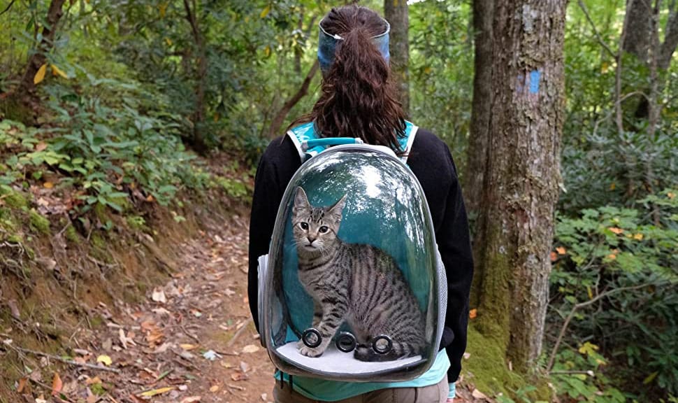 Cat Backpacks for Adventuring with Your Cat