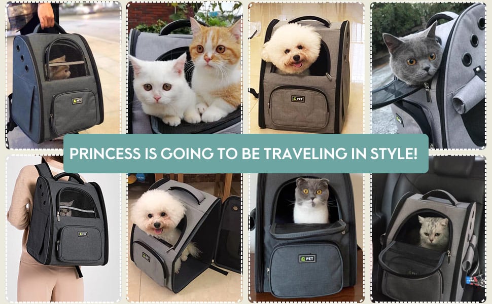 Princess is going to be traveling in style!