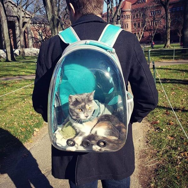 The-Navigator-Cat-Bubble-Backpack-green