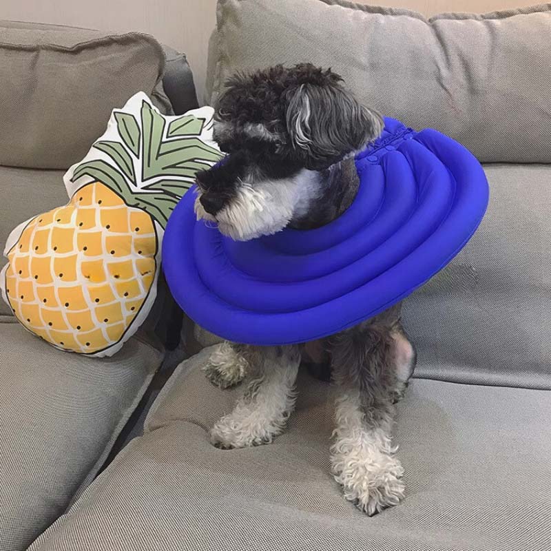 Pillow collar for dogs clearance
