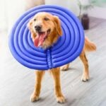doglemi cone of shame alternative