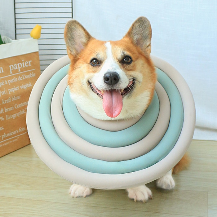 Doglemi Soft Comfortable Dog Cone Alternative After Surgery Extra Long Recovery Collar for Large Dogs Dog Elizabethan Collar Gray Green X Large