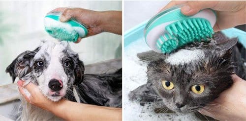 shampoo-dispenser-brush-for-dog-cat