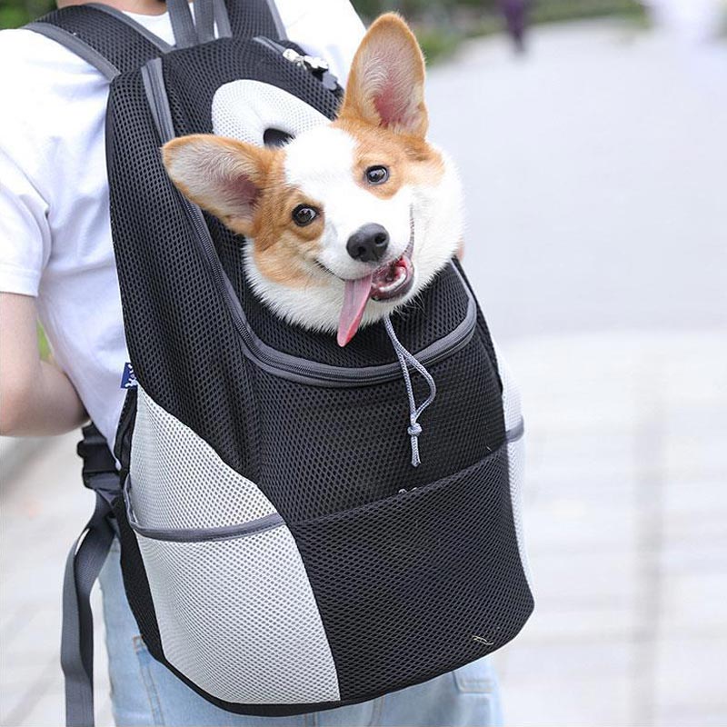 dog backpack carrier