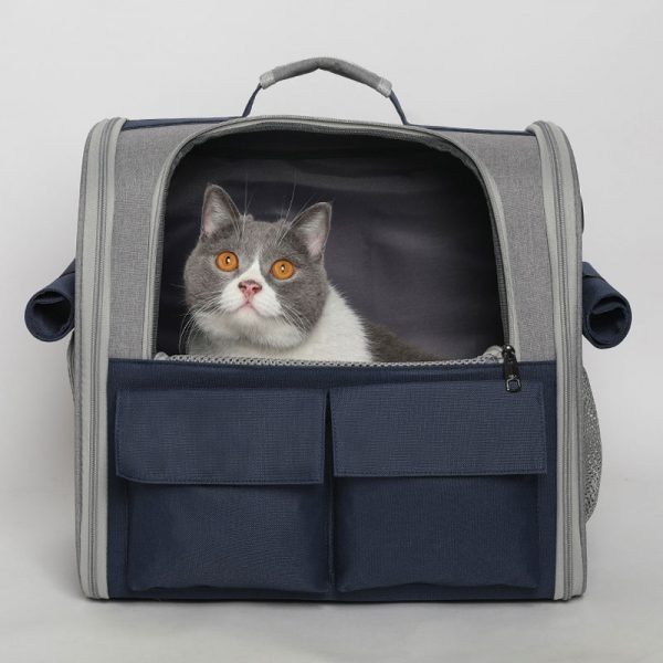 The Rover cat carrier backpack in blue