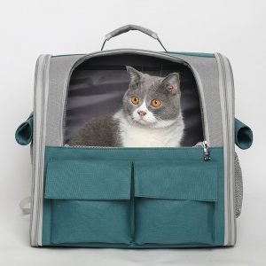 The Rover cat carrier backpack in green