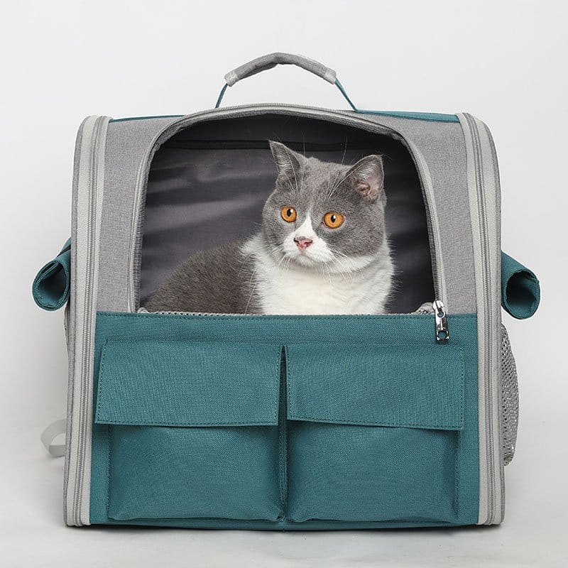 The Rover” Fat Cat Carrier Backpack – Lilly & Max