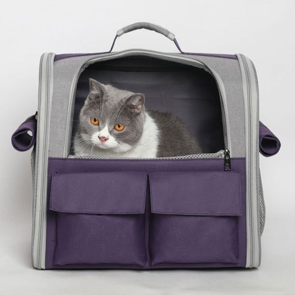 The Rover cat carrier backpack in purple