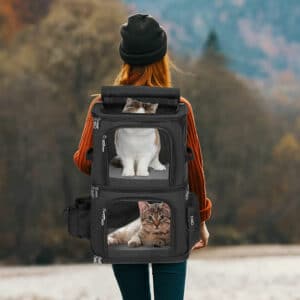 folding cat backpack for two cats