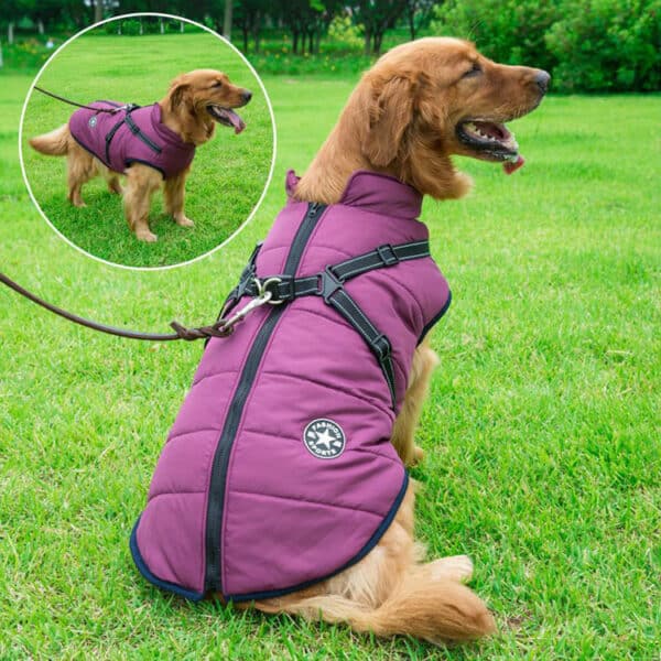ElitePet Large Purple Dog Coats for Winter