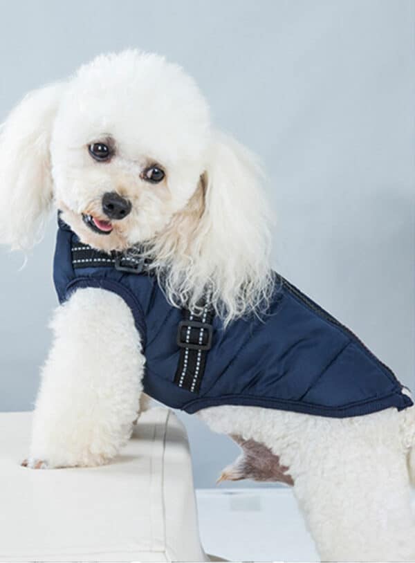 ElitePet Small-Mid Blue Dog Coats for Winter