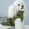 ElitePet Small-Mid Green Dog Coats for Winter