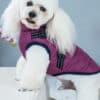 ElitePet Small-Mid Purple Dog Coats for Winter