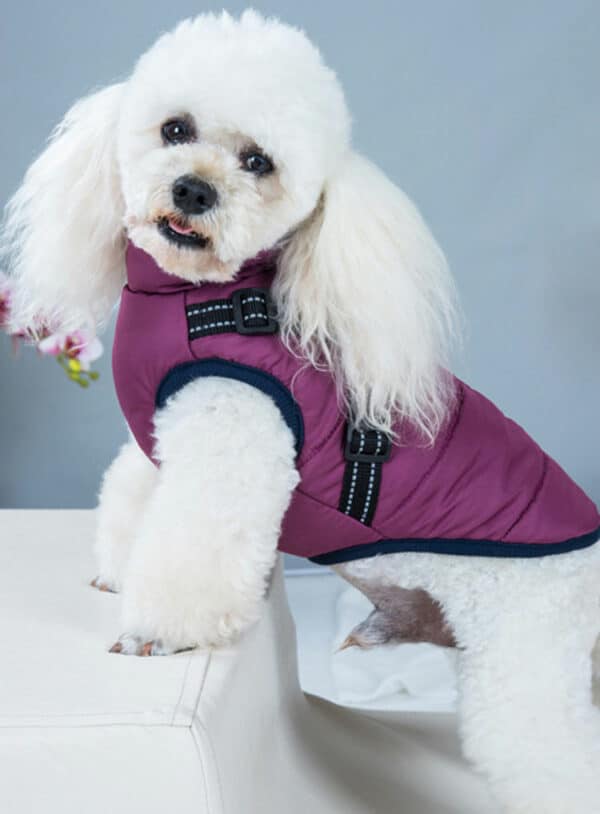 ElitePet Small-Mid Purple Dog Coats for Winter
