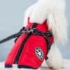 ElitePet Small-Mid Red Dog Coats for Winter