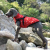 dog outdoor fleece jacket