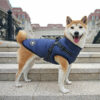 navy blue dog winter coat