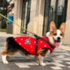 ElitePet Small and Medium Dog Winter Puffer Coats with Harness Red Snowflakes