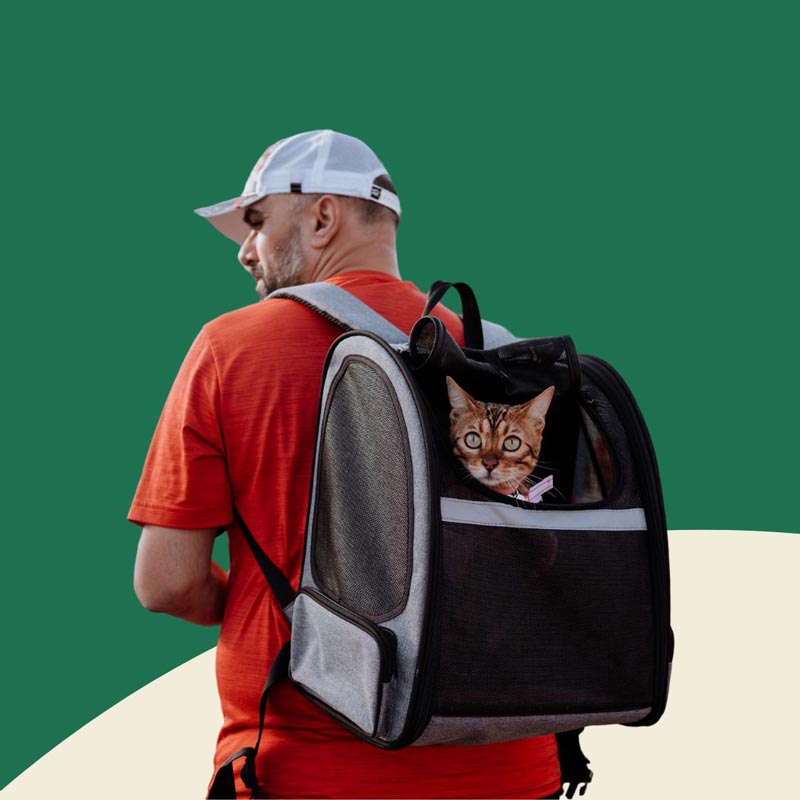 Cat Carrier Backpacks