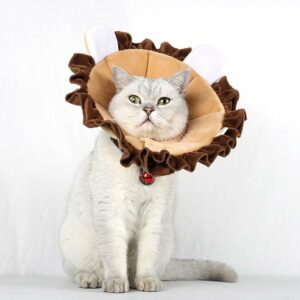 alternatives to a cat cone