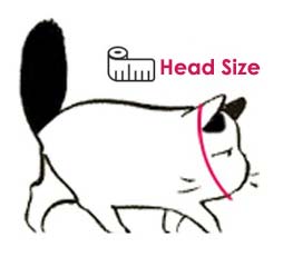 bread cat cone sizing guide