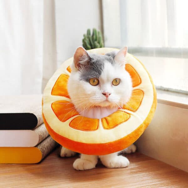 cat cone alternative orange