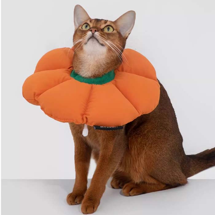 Cat soft cone sale