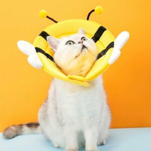 cute animal cones for cats bee