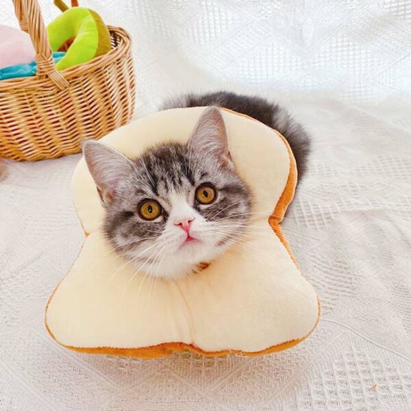 cute bread cat cone