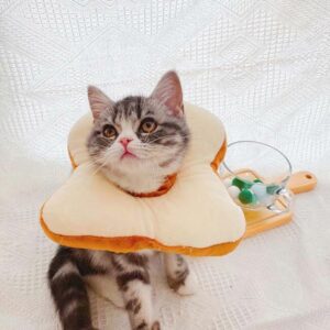 cute cat cones bread