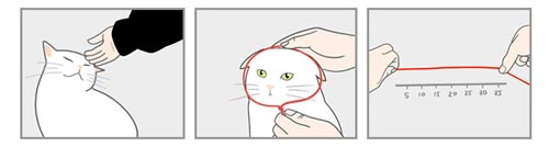 donut cat recovery collar size
