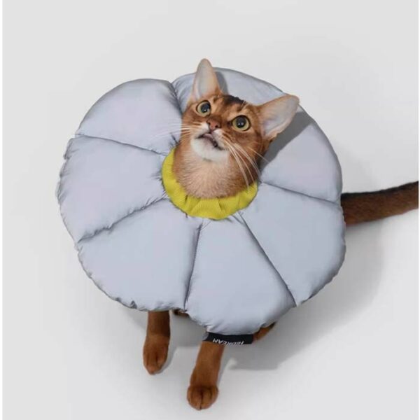 flower cone for cats