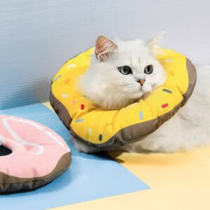 kitten donut collar