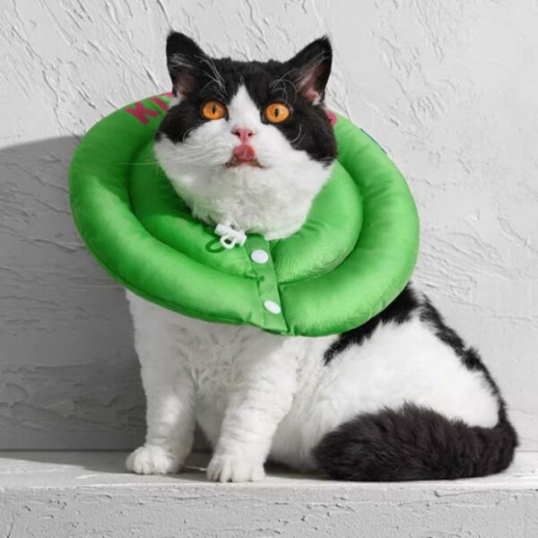 kittyyoyo cat cone green