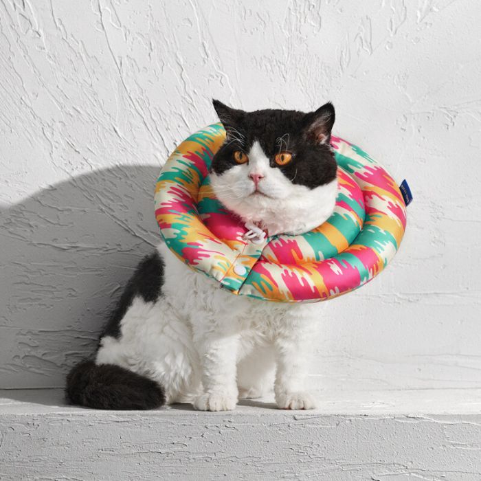 KittyYoyo Soft Cat Elizabethan Recovery Collar Cone
