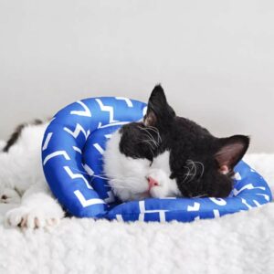 soft cat medical cone