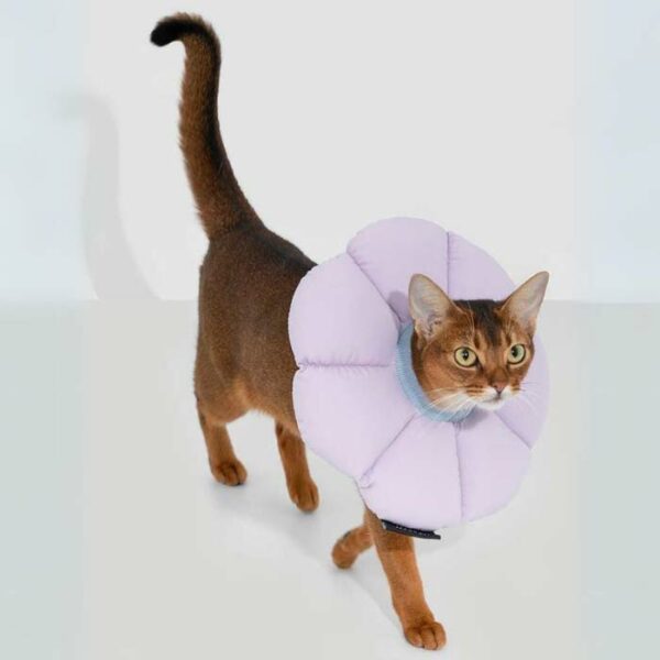 soft collar for cats