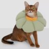 soft flower cat cone