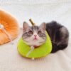 unique kitty cone