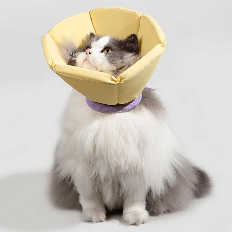 Soft Foam Post Surgery Cat Recovery Collar