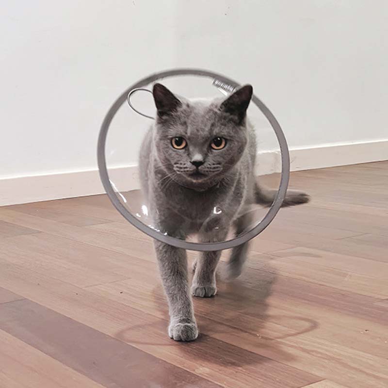 Plastic Paper Plate Cone For Cat