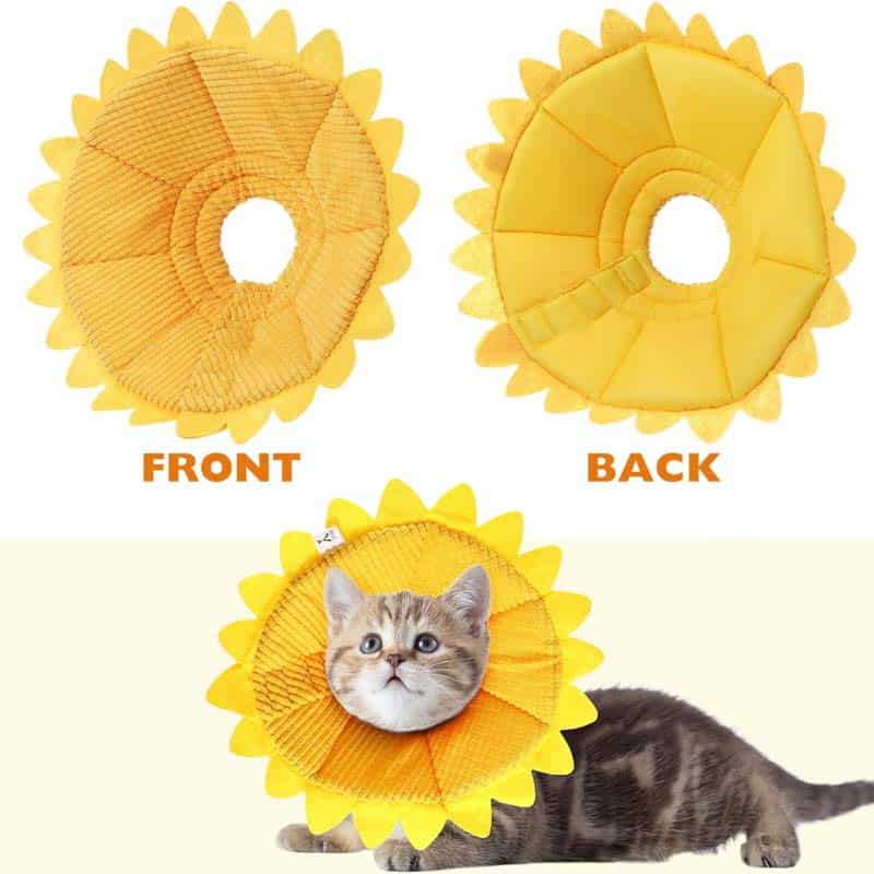 Sunflower Cat Recovery Collar Cone