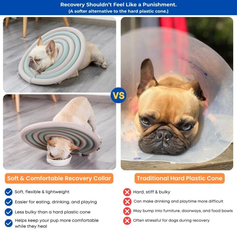 alternative to elizabethan collar for dogs