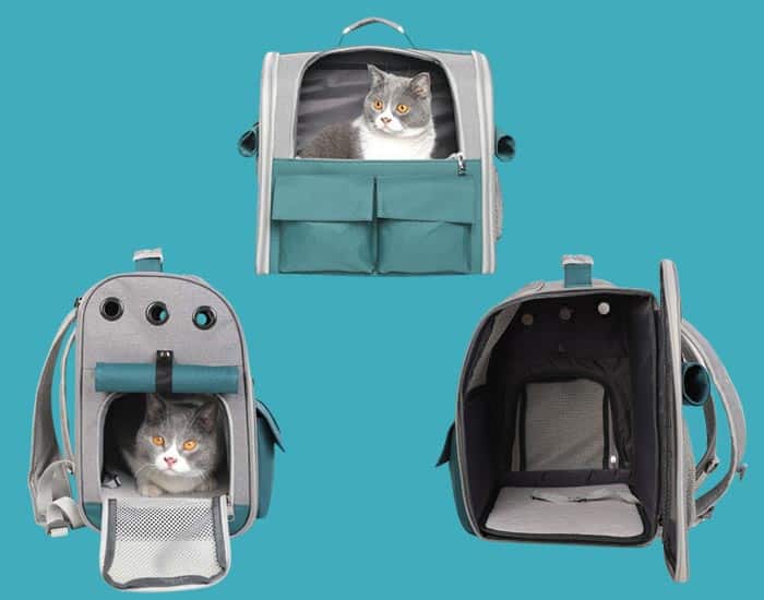 comfortable cat carrier