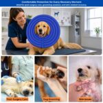 doglemi dog recovery collar