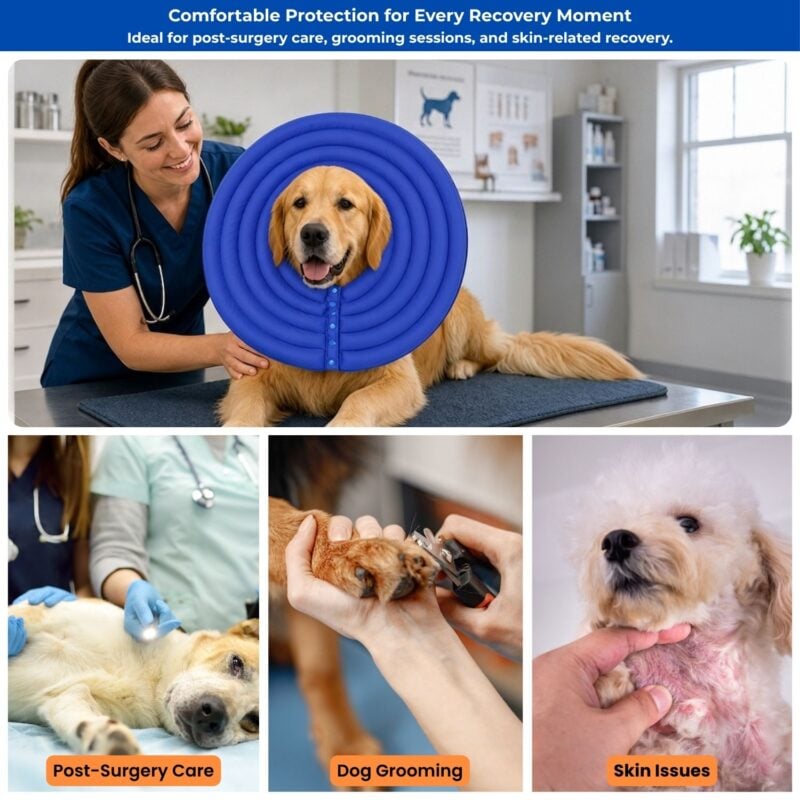 doglemi dog recovery collar