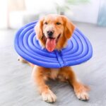 doglemi soft dog cone